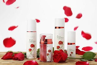 廣州手工皂進口半成品清關代理服務 助力化妝品及衛生用品行業合規進口